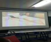 Guy plays the wrong video during a presentation for his class. from 3gp video during delevery