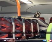 Sex on a bus justice! from xxx sex xxnyxgirl fucking bus bdsex19