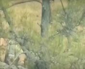 Indian army snipers targeting pakistani troops on LOC (Date:unknown) from indian rap xxx video pakistani panja