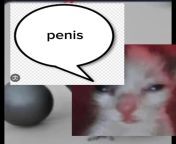 penis from penis pearl v puri nude cockbangl