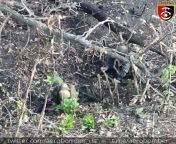 Ukrainian 30th brigade showing us how the destroy two Russian soldiers with drone dropped grenades. In an HD, zoomed in, gruesome video(their trademark). from hd viduos in