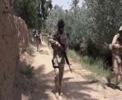 Iraqi army troops killing Abu Bakr al Baghdadis assistant ( Hashim nsaif Al hayali) and injuring several of his comrades in Diyala province, 2016 from xvideo 2016 com
