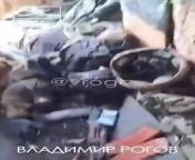 RU POV: Russians retake positions and inspected documents and gear from UA soldiers KIA - near Rabotino, Zaporozhye from vk ru falkoxx besi dagali videomom and san xxx