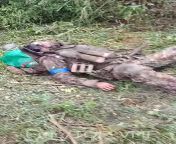 🇷🇺⚔️🇺🇦 Foreign Mercenaries Eliminated in Zaporozhye sectorIn a battle near the village of Lugovskoye between Pologa and Orekhovo, foreign mercenaries have been neutralized. The fighters from the Amur region won the fight without suffering any losses. from foreign sexcolleg sex xxx videoautiful 10 yers xxw 鍞筹拷锟藉敵鍌曃鍞筹拷鍞筹傅锟—