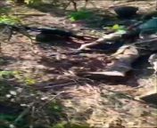 RU POV &#124; Fighting on the Vremevsky ledge: The junction of Zaporozhye and the DPR, north of Priyutnoye. The result of the work of attack aircraft of the Primorsky 127th Motorized Rifle Division. KIA sabotage group of the Armed Forces of Ukraine. from vk ru nude boy robbieuck on