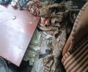 Ru pov: Russian drone operator sends back an adult toy back to Ukrainian position from janusi rus