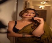 Shama Sikander in saree. from girls in saree bl