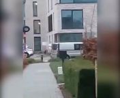 [Video] 12-jarige jongen steekt wijkagent neer aan middelbare school in Peer, ook zijn moeder en broer opgepakt from gihle peer