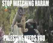 Haram from konten haram