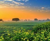 Are you looking for popular places to see in Punjab? Check out the most prominent places here that gives you a true essence of Punjab: from punjab’s
