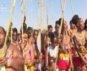 Zulu Maidens from zulu maidens naked river bath