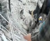 [NSFW] Father protects his son with his own body during earthquake in Syria. The boy is alive! from son sexy his own mother ba