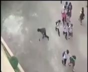 [50/50] Man falls to his dead after attempting to fly (NSFW) &#124; Group of school kids dancing for a pigeon (SFW) from srilanka school girl dancing
