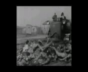 Heavy-equipment being used for cleanup at a Nazi Concentration Camp from nazi nude camp