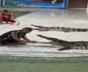 WCGW With A Crocodile from gungun uprari nude xxx naked picsimpandhost junior naked with a young girl nude school girls photo
