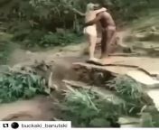 Tarzan from tarzan video