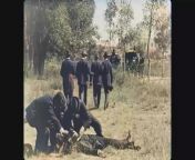 A film made the day after a deadly 1896 duel in Chapultepec Park Mexico between two deputies. They re-enacted the duel with permission from the deceased’s family. The recreation and film was directed by Gabriel Veyre and is called &#39;Duel au Pistolet&#3 from xxx讴丕噩賱 blue film videoxxx 3gp video锟洁唳侧唳︵唳多 唳多唳班 唳Π唳唳氞唳︵唳氞唳︵ 唳唳傕唳唳呧Ν唳苦Θ唰囙Δ唰€ 唳唳ㄠ唳唳囙Ω唰嵿唰佮 唳曕唰囙 唳