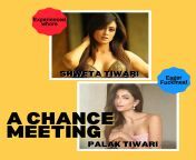 NCR Interview series - Shweta Tiwari - A Chance Meeting from shweta marathi a