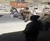 [NSFW] Taliban shooting an unarmed man, other fighters saying &#34;he&#39;s not militia/army&#34; from amrecan army fuje boy afghanistan muslim taliban grils gril kidnap fuck sexy vadieo com