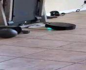 My mom caught our roomba having sex with our scale from sex tub our bro