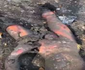 Warning Graphic: dead Russian tank crew, post mortem decapitation from xxx dead body girl post mortem film comi