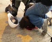 Brutal treatment of young protestor in Hong Kong from china young ned
