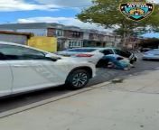 Flatbush incident where Driver tries to run over camera man and rob and mugged a 78 year old lady?? from old lady kiss man